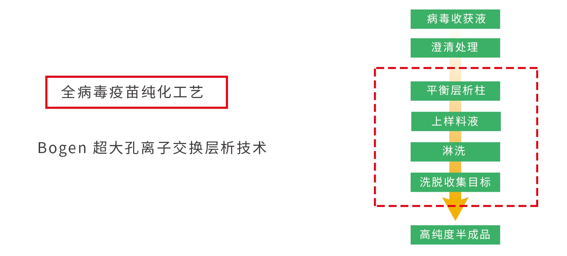 離子交換介質(zhì)