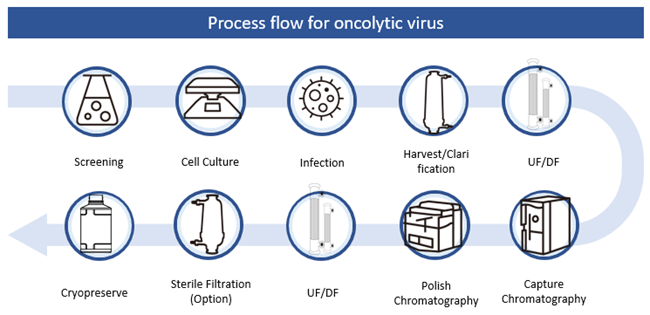 Oncolytic Virus