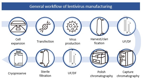 Lentivirus