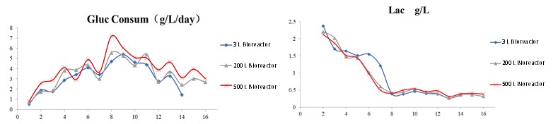 From PD to Manufacturing: Study on Consistency during Scaling-up from DuoBioX Explore to Pro Bioreactors