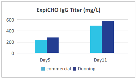 CHO Transient Transfection Cell Culture Medium