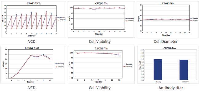 Cell Culture Flask