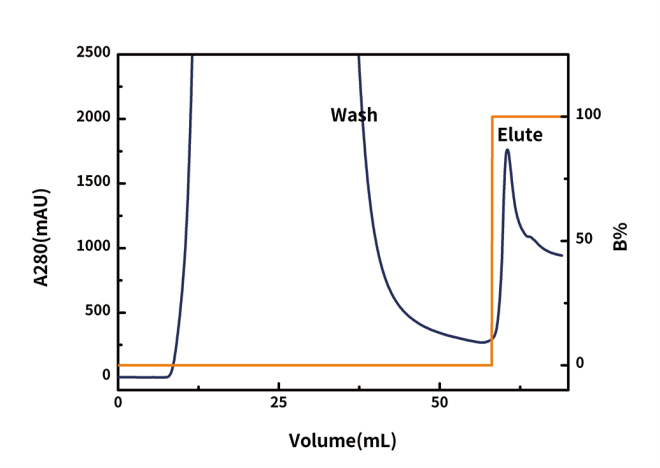 GST-tag protein purification resin