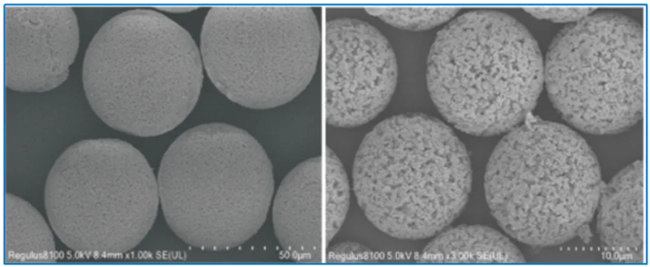 Mixed Mode Cation Chromatography Resin