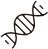 Plasmid DNA