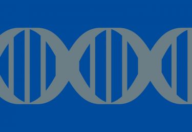 Plasmid DNA