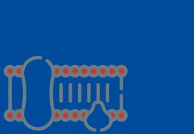 CHO Host Cell Protein Residue ELISA Kit