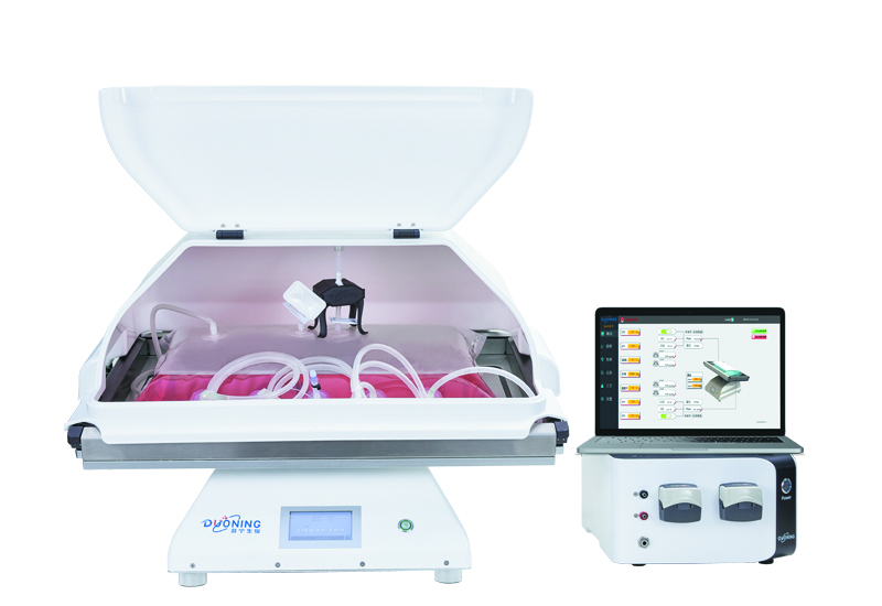 DuoWave? Rocking Single-use Bioreactor